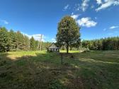 Nuostabi sodyba pušų - miško apsuptyje 1,55 ha - nuotraukos Nr. 7