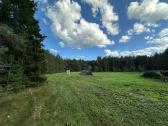 Nuostabi sodyba pušų - miško apsuptyje 1,55 ha - nuotraukos Nr. 8
