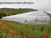 Europrogress – Itališki Pramoniniai Šiltnamiai