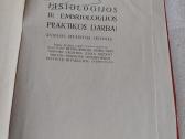 Histologijos ir embriologijos praktikos darbai - nuotraukos Nr. 2