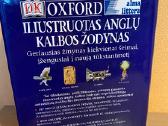 Oxford iliustruotas anglų kalbos žodynas - nuotraukos Nr. 2