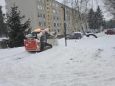 Sklypu ir aplinkos tvarkymas Bobcat nuoma Kaunas - nuotraukos Nr. 10
