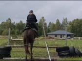 Parduodama arba keičiama pony kumele