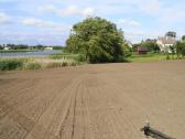 Eskavatoriaus paslaugos Cat 306 (6.5t) - nuotraukos Nr. 17