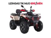 Registruojamas T3b Asix Challenger 300cc - nuotraukos Nr. 2