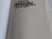 Pėdos Skarulių smėlyje - nuotraukos Nr. 2