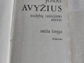 Sodybų tuštėjimo metas - nuotraukos Nr. 2
