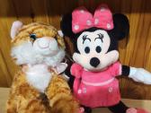 Minnie ir katytė miauksi kaina už abi - nuotraukos Nr. 3