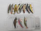 Upėtakiniai vobleriai