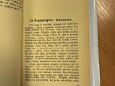 Jauni Didvyriai 1929m. - nuotraukos Nr. 4
