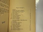 Jauni Didvyriai 1929m. - nuotraukos Nr. 6
