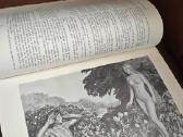 Biblija - nuotraukos Nr. 10