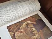 Biblija - nuotraukos Nr. 11