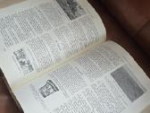 Biblija - nuotraukos Nr. 13