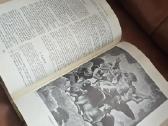 Biblija - nuotraukos Nr. 14