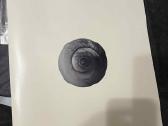 Saulius Mykolaitis - Mykolaitis Lp - nuotraukos Nr. 6