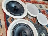 Kaloneles