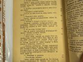 Vidujinis Šventųjų gyvenimas 1924 - nuotraukos Nr. 6