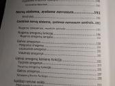 Žmogaus anatomija ir fiziologija - nuotraukos Nr. 6