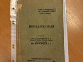 Nuolankumas 1928
