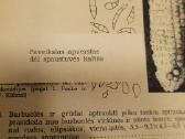 1970m vadovas augalų ligoms pažinti - nuotraukos Nr. 3