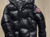 Canada Goose