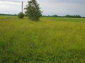 36a sklypas, Tautkūnų km, prie Velžio - nuotraukos Nr. 3