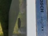 Bosch indaplove - nuotraukos Nr. 7