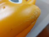 Ducky firmos plaustukas vaikams. Naudotas žaislas - nuotraukos Nr. 5