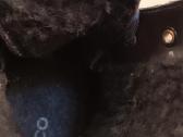 Ecco žieminiai aulinukai, Gore Tex - nuotraukos Nr. 6