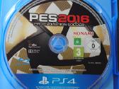 Pes 2016 - nuotraukos Nr. 3