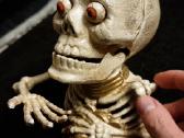 Taupykle Skeletas - nuotraukos Nr. 3