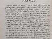 Vaižgantas "Valiulio pasaka" - nuotraukos Nr. 5
