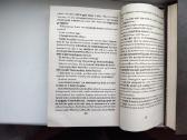 M. Kundera. Immortality - nuotraukos Nr. 8