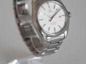 Omega Aqua Terra 39mm