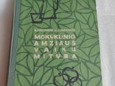 Mokyklinio amžiaus vaikų mityba