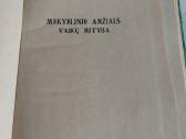 Mokyklinio amžiaus vaikų mityba - nuotraukos Nr. 2
