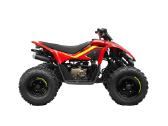 Benzininis keturratis Cforce 110 Premium - nuotraukos Nr. 5