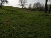 Autentišką sodybą Kelmės raj. Pikelių km. - nuotraukos Nr. 4