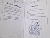 J. Silberg. Knygų rinkinys apie kūdikio lavinimą - nuotraukos Nr. 7