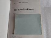 Tas ryto laukimas - nuotraukos Nr. 2
