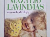 J. Silberg. Knygų rinkinys apie kūdikio lavinimą - nuotraukos Nr. 13