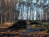 Apleistų sklypų tvarkymas Sklypų Valymas Biokuras - nuotraukos Nr. 8