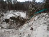 Apleistų sklypų tvarkymas Sklypų Valymas Biokuras - nuotraukos Nr. 3