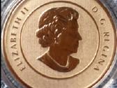 Moneta Canada 2012m. 20 dollars, sidabras - nuotraukos Nr. 2
