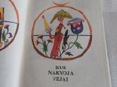 Kur nakvoja vėjai - nuotraukos Nr. 2