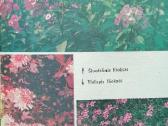 J. Balvočiūtė "Jaunajam gėlininkui" - nuotraukos Nr. 5