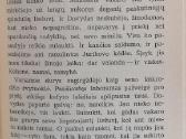 R. Gavelis "Įsibrovėliai" - nuotraukos Nr. 3