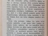 R. Gavelis "Įsibrovėliai" - nuotraukos Nr. 4