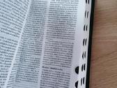 Neskaityta. Biblija arba šventasis rastas - nuotraukos Nr. 3